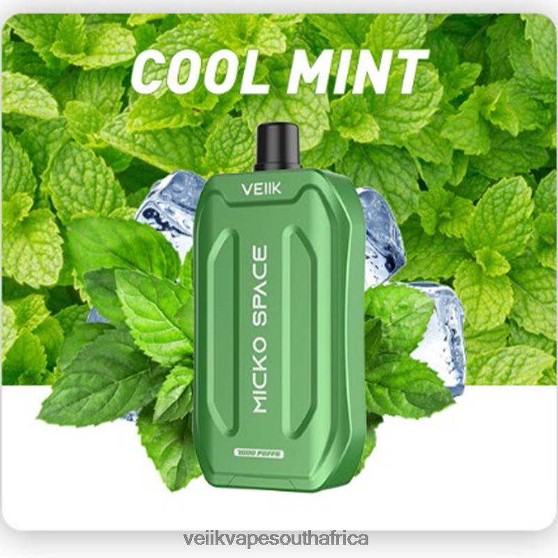 VEIIK Pod South Africa - VEIIK Micko Space Disposable Vape 7000 Puffs Cool Mint A4Z6R436